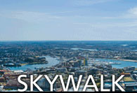 Click here to visit the website